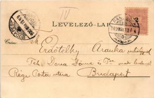 1900 Pancsova, Pancevo; Oberstadt, Serb. gr. or. Christi Verkl. Kirche / látkép, Szerb ortodox templ...