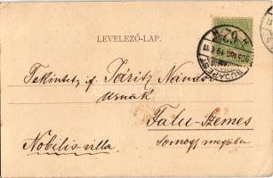 1905 Fedák Sári és Medgyaszay Vilma. János vitéz (Rb)