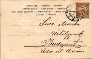 1902 Boldog Újévet! Szecessziós dombornyomott üdvözlőlap / New Year greeting art postcard with lady....