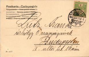 1902 Prosit / Boldog Újévet! / New Year greeting art postcard, lady with champagne, clovers. Phot. v...