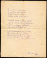 1906 Alsókubini (Árva vármegye) dalloskör stencilezett meghívó nyomtatvány