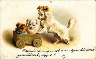 1900 Kutyák játszanak / dogs art postcard. litho