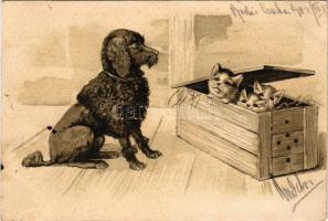 1901 Macskák és kutya dombornyomott művészlap / cats and a dog art postcard. litho