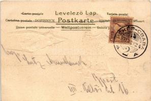 1901 Macskák és kutya dombornyomott művészlap / cats and a dog art postcard. litho