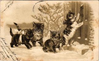 1901 Macskák dombornyomott művészlap / cats art postcard. Emb. litho + "BUDAPEST PORTO" (v...