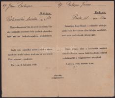 1920 Kassa választói névjegyzékből való törlésről szóló okmány, mert az illető magyar. 

1920 Docu...