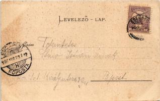 1900 Zólyom, Zvolen; látkép, zsinagóga, Steiner Lajos, Henzel Pál, Jeranek üzlete, Hungária szálloda...
