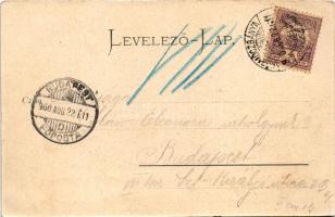 1900 Körmöcbánya, Kremnitz, Kremnica; utcakép, Weil-Cilli, Gullner Testvérek üzlete / street, square...