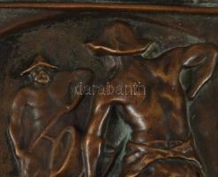 Robert Müller bronz plakett, jelzett, 17x14 cm