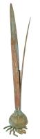 Carnevale patinázott bronz gyertyatartó, jelzett, m: 33 cm