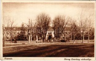 1929 Kapuvár, Herceg Esterházy várkastélya. Buxbaum Kálmán kiadása (EK)