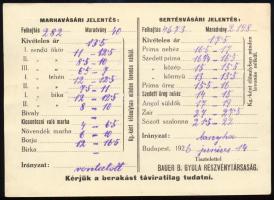 1926 A budapesti Bauer B. Gyula rt. állatbizományi üzletága marha- és sertésvásári jelentése bécsi c...