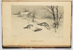 1889 Természet és Vadászat c. orosz nyelvű képes havi folyóirat 3 db száma egybekötve (1889. április...