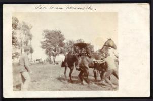 ca 1917 Sári lovam házasodik egy finom gavallérral. Tettey Emil tüzér főhadnagy fotója a galiciai fr...