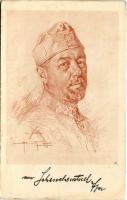 Generaloberst Viktor Graf von Scheuchenstuel / WWI Austro-Hungarian K.u.K. military Colonel General ...