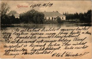 1901 Delkovac, látkép / view (fa)