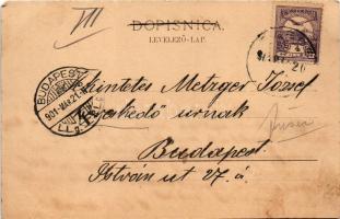 1901 Delkovac, látkép / view (fa)