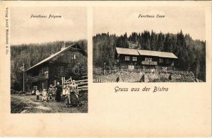 Sebes-völgy, Valea Sebesului; Gruss aus der Bistra. Forsthaus Prigona, Forsthaus Oasa / erdészet, er...