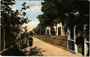 1916 Balatonszárszó, Szárszó; Felső villa sor. Pongrácz Béla kiadása