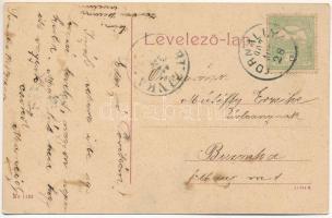 1907 Tornalja, Tornallya, Safárikovo, Tornala; Hámos Árpád kastélya. No. 1133. (W.L. ?) / castle