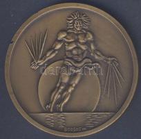 1980. "Fiziológiai tudományok nemzetközi kongresszusa Budapest" Br emlékérem szign: Borsos...