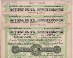 Románia / Arad 1923. "Mezőgazdák Kereskedelmi Részvénytársaság" részvénye 3000L-ről (3x) s...