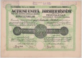 Románia / Arad 1923. "Mezőgazdák Kereskedelmi Részvénytársaság" részvénye 3000L-ről (3x) s...