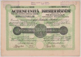 Románia / Arad 1923. "Mezőgazdák Kereskedelmi Részvénytársaság" részvénye 3000L-ről (3x) s...