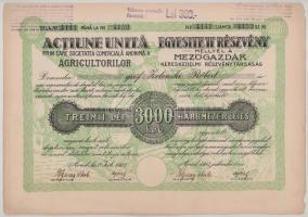 Románia / Arad 1923. "Mezőgazdák Kereskedelmi Részvénytársaság" részvénye 3000L-ről (3x) s...