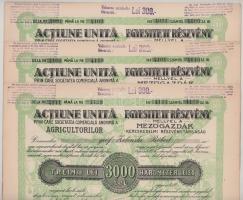 Románia / Arad 1923. "Mezőgazdák Kereskedelmi Részvénytársaság" részvénye 3000L-ről (3x) s...