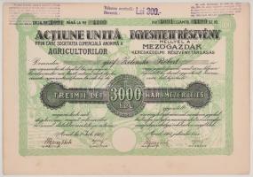 Románia / Arad 1923. "Mezőgazdák Kereskedelmi Részvénytársaság" részvénye 3000L-ről (3x) s...