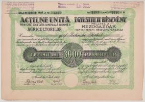 Románia / Arad 1923. "Mezőgazdák Kereskedelmi Részvénytársaság" részvénye 3000L-ről (3x) s...