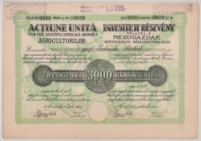 Románia / Arad 1923. "Mezőgazdák Kereskedelmi Részvénytársaság" részvénye 3000L-ről (3x) s...