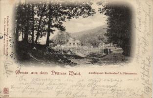 Pfälzerwald Beckenhof villa (EK)