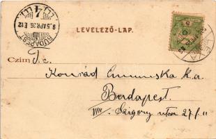 1905 Léva, Levice; Kossuth tér, Városháza, Lang központi kávéháza, Kovács Sándor, Schweihs és Trebit...