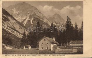 Larchet Alm im Karwendeltal (EB)