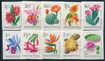 1965 Virág (VI.) - Botanikus kertek virágai vágott sor (5.500)