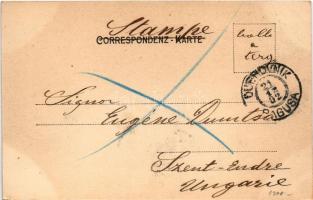 1902 Dubrovnik, Ragusa; Verlag Bernhard Weiss / látkép / view. TCV card