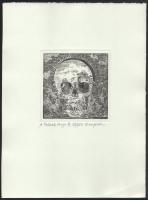 Orosz István (1951-): A Bolondok Hajója III. Rézkarc, papír, jelzett és számozott (62/150). 11,5x11,...
