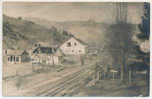 Gyergyótölgyes, Tölgyes, Tulghes; látkép, vasútvonal / view, railway. photo (fl)