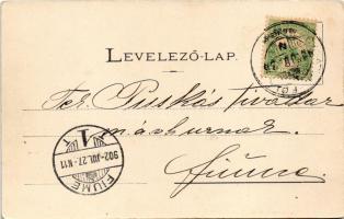 1902 Balatonföldvár, Dr. Korányi és Dr. Kresz nyaraló. Klösz György. Art Nouveau, floral (EK)