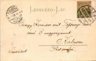 1902 Eger, új városház, Braun Adolf, Lázár Jónás társai üzlete, gyógyszertár. Stengel &amp; Co. ...