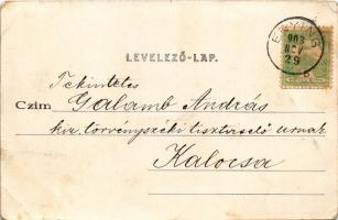 1903 Enying, Fő utca, esküvői menet. Kiadja Politzer Jenő (EB)
