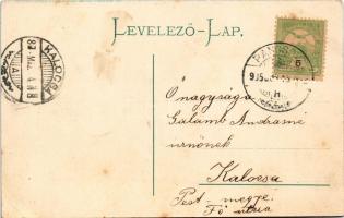 1905 Pancsova, Pancevo; Sztarcsovai út, Pancsovai Népbank, Juba és Csányi üzlete, gyógyszertár, körm...