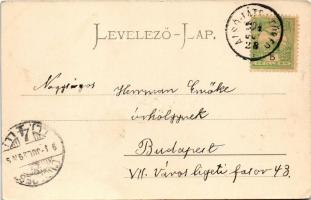 1904 Tátra, Magas-Tátra, Vysoké Tatry; Vendéglő és Szentiványi villa a Csorba-tónál. Stengel &am...