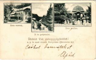 1908 Visk, Várhegy-gyógyfürdő, Vyshkovo (Máramaros); Ilona csarnok, út és park, zene pavilon / hall,...