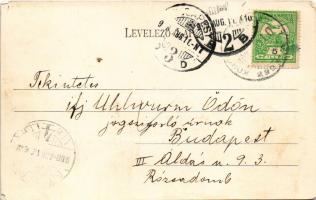 1908 Visk, Várhegy-gyógyfürdő, Vyshkovo (Máramaros); Ilona csarnok, út és park, zene pavilon / hall,...