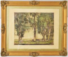 Herman Lipót (1884-1972): Balaton.Színezett rézkarc, papír, jelzett. Kissé foltos. Üvegezett, dekora...