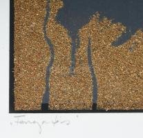 Záborszky Gábor (1950-2023): Forgatás, 1979. Szerigráfia, papír, jelzett, számozott (8/8), 41x30 cm....