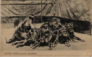 Koczka Józsa oroszlán szelídítőnő. Miss Józsa pihenője a fenevadak között / Hungarian circus, lion t...